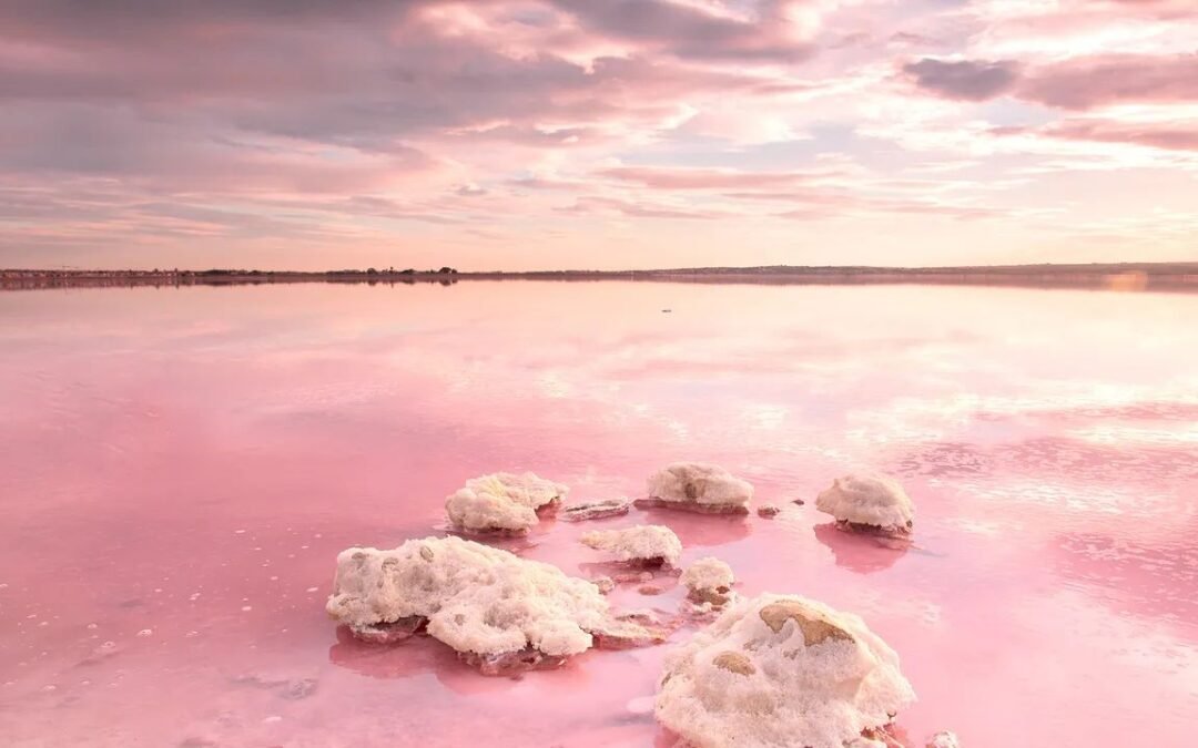 Parco Naturale delle Saline di Torrevieja e La Mata