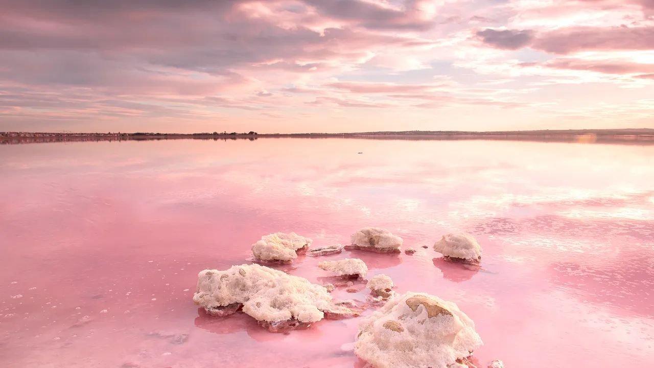 Parco Naturale delle Saline di Torrevieja e La Mata